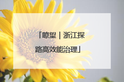 瞭望｜浙江探路高效能治理