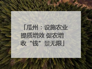 瓜州：设施农业提质增效 促农增收“钱”景无限