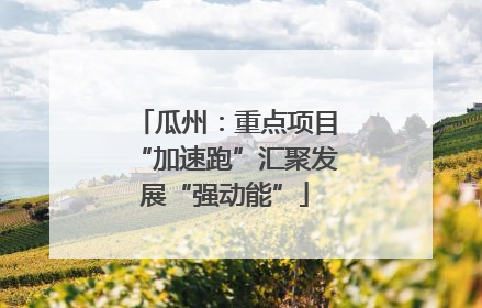 瓜州：重点项目“加速跑”汇聚发展“强动能”