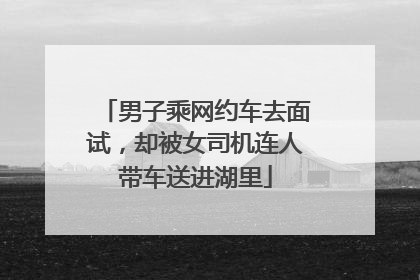 男子乘网约车去面试，却被女司机连人带车送进湖里