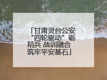 甘肃灵台公安“四轮驱动”砺精兵 战训融合筑牢平安基石