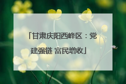 甘肃庆阳西峰区：党建强链 富民增收