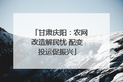 甘肃庆阳：农网改造解民忧 配变投运促振兴