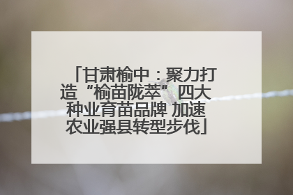 甘肃榆中：聚力打造“榆苗陇萃”四大种业育苗品牌 加速农业强县转型步伐