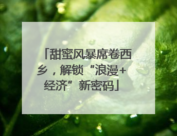 甜蜜风暴席卷西乡，解锁“浪漫+经济”新密码