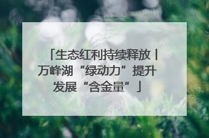 生态红利持续释放丨万峰湖“绿动力”提升发展“含金量”