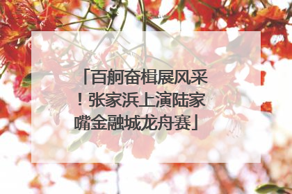 百舸奋楫展风采！张家浜上演陆家嘴金融城龙舟赛
