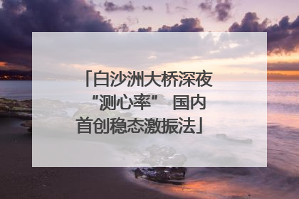 白沙洲大桥深夜“测心率” 国内首创稳态激振法