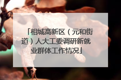 相城高新区（元和街道）人大工委调研新就业群体工作情况