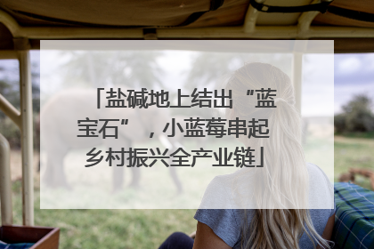 盐碱地上结出“蓝宝石”，小蓝莓串起乡村振兴全产业链