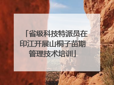 省级科技特派员在印江开展山桐子苗期管理技术培训