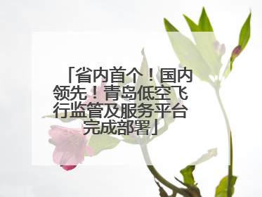 省内首个！国内领先！青岛低空飞行监管及服务平台完成部署