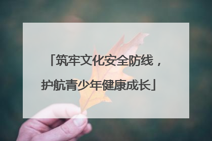 筑牢文化安全防线，护航青少年健康成长