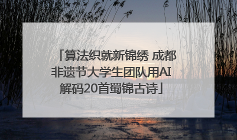 算法织就新锦绣 成都非遗节大学生团队用AI解码20首蜀锦古诗