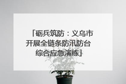 砺兵筑防：义乌市开展全链条防汛防台综合应急演练