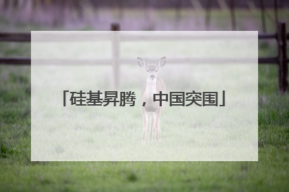 硅基昇腾，中国突围