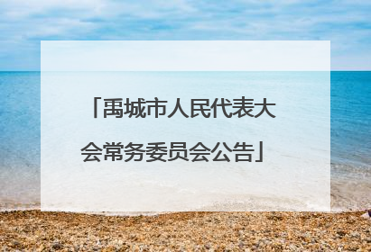 禹城市人民代表大会常务委员会公告