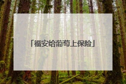 福安给葡萄上保险