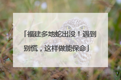 福建多地蛇出没！遇到别慌，这样做能保命