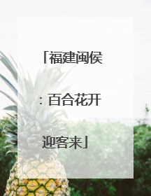 福建闽侯：百合花开迎客来