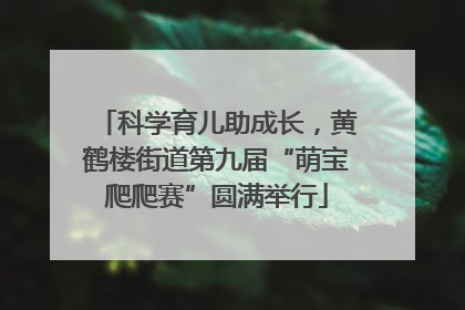 科学育儿助成长，黄鹤楼街道第九届“萌宝爬爬赛”圆满举行