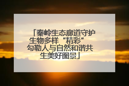 秦岭生态廊道守护生物多样“精彩” 勾勒人与自然和谐共生美好图景