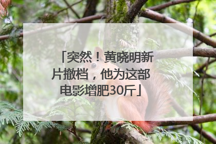 突然！黄晓明新片撤档，他为这部电影增肥30斤