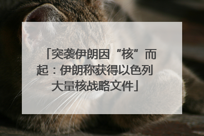 突袭伊朗因“核”而起：伊朗称获得以色列大量核战略文件