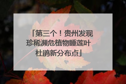 第三个！贵州发现珍稀濒危植物睡莲叶杜鹃新分布点