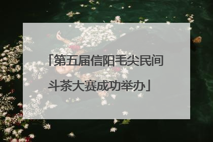 第五届信阳毛尖民间斗茶大赛成功举办