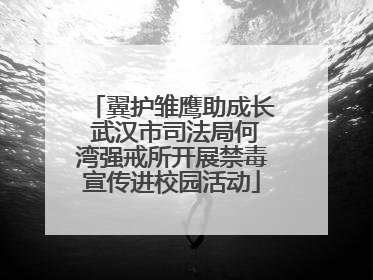 翼护雏鹰助成长 武汉市司法局何湾强戒所开展禁毒宣传进校园活动