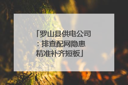 罗山县供电公司：排查配网隐患 精准补齐短板