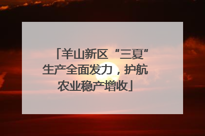羊山新区“三夏”生产全面发力，护航农业稳产增收