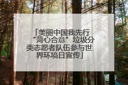 美丽中国我先行 “菏心合意”垃圾分类志愿者队伍参与世界环境日宣传