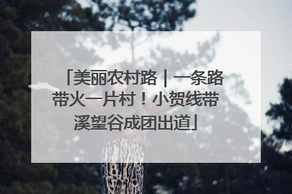 美丽农村路｜一条路带火一片村！小贺线带溪望谷成团出道