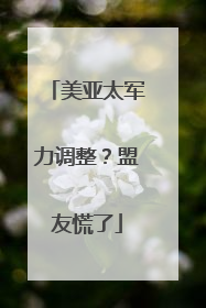 美亚太军力调整？盟友慌了