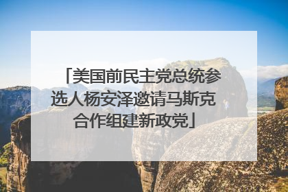 美国前民主党总统参选人杨安泽邀请马斯克合作组建新政党