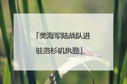 美海军陆战队进驻洛杉矶执勤