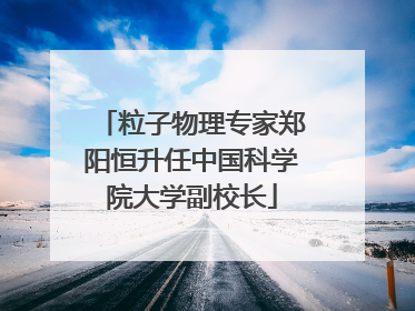 粒子物理专家郑阳恒升任中国科学院大学副校长