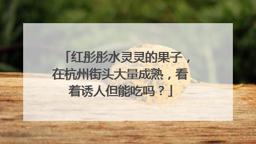 红彤彤水灵灵的果子，在杭州街头大量成熟，看着诱人但能吃吗？