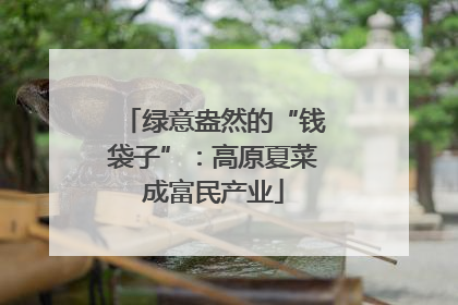 绿意盎然的“钱袋子”：高原夏菜成富民产业