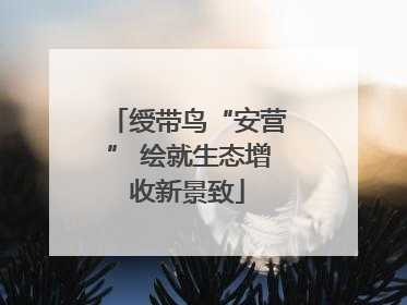 绶带鸟“安营” 绘就生态增收新景致