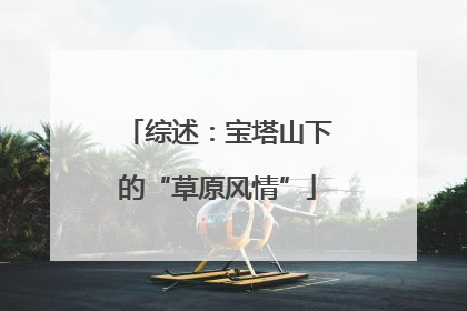 综述：宝塔山下的“草原风情”