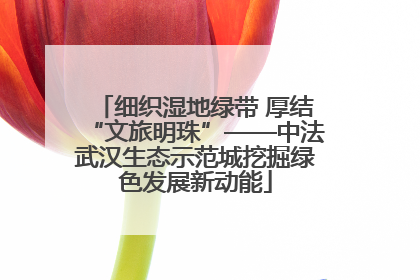 细织湿地绿带 厚结“文旅明珠”——中法武汉生态示范城挖掘绿色发展新动能