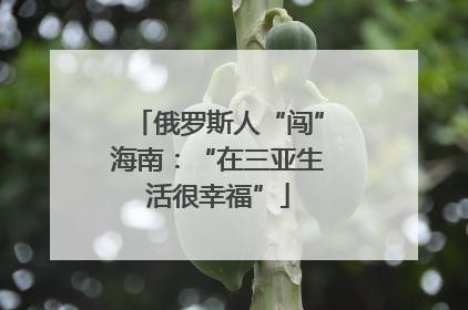 俄罗斯人“闯”海南：“在三亚生活很幸福”