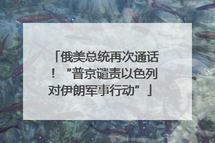 俄美总统再次通话！“普京谴责以色列对伊朗军事行动”