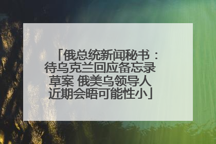 俄总统新闻秘书：待乌克兰回应备忘录草案 俄美乌领导人近期会晤可能性小