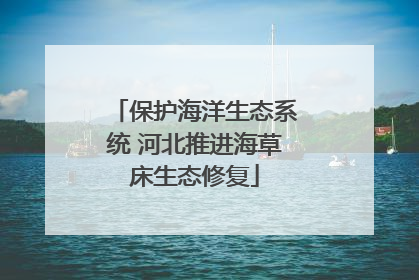 保护海洋生态系统 河北推进海草床生态修复