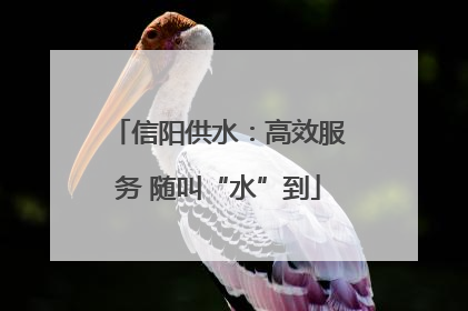 信阳供水：高效服务 随叫“水”到