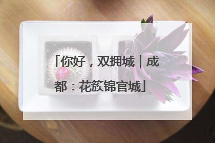 你好，双拥城｜成都：花簇锦官城